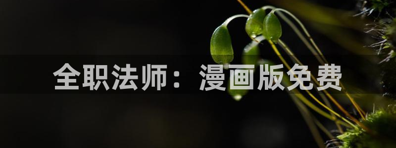 天堂漫画3d：全职法师：漫画版免费