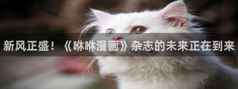 天堂漫画加速器：新风正盛！《咻咻漫画》杂志的未来正在到来