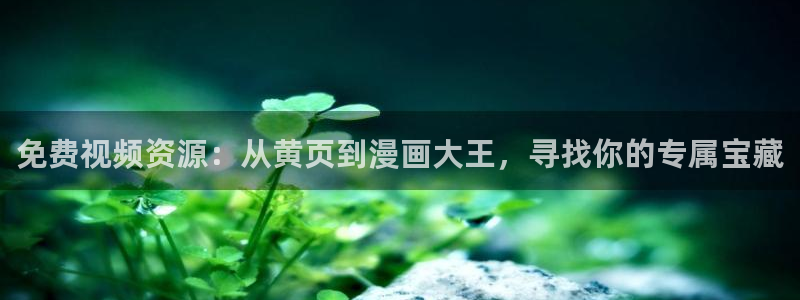 天堂漫画comic1.6.3破解版：免费视频资源：从黄页到漫画大王，寻找你的专属宝藏